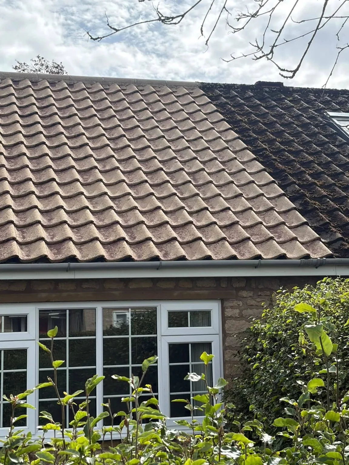 Concrete tiled roof where one section appears noticeably lighter than the moss-darkened section beside it
