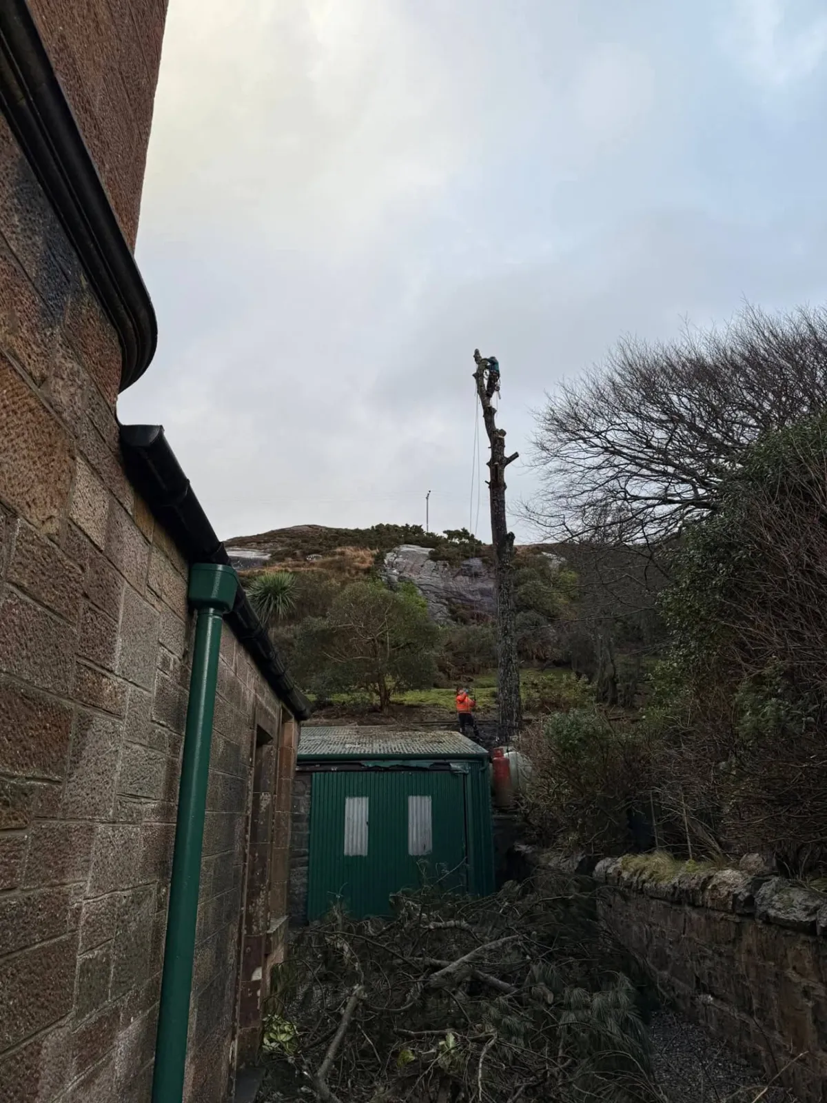 Climber at the top of a bare stem between stone buildings and a green shed, with a ground worker below