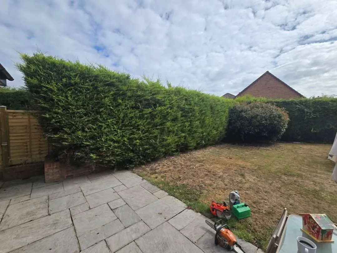 Tall, overgrown conifer hedge above a low brick wall beside a stone patio and lawn, with a chainsaw on the patio