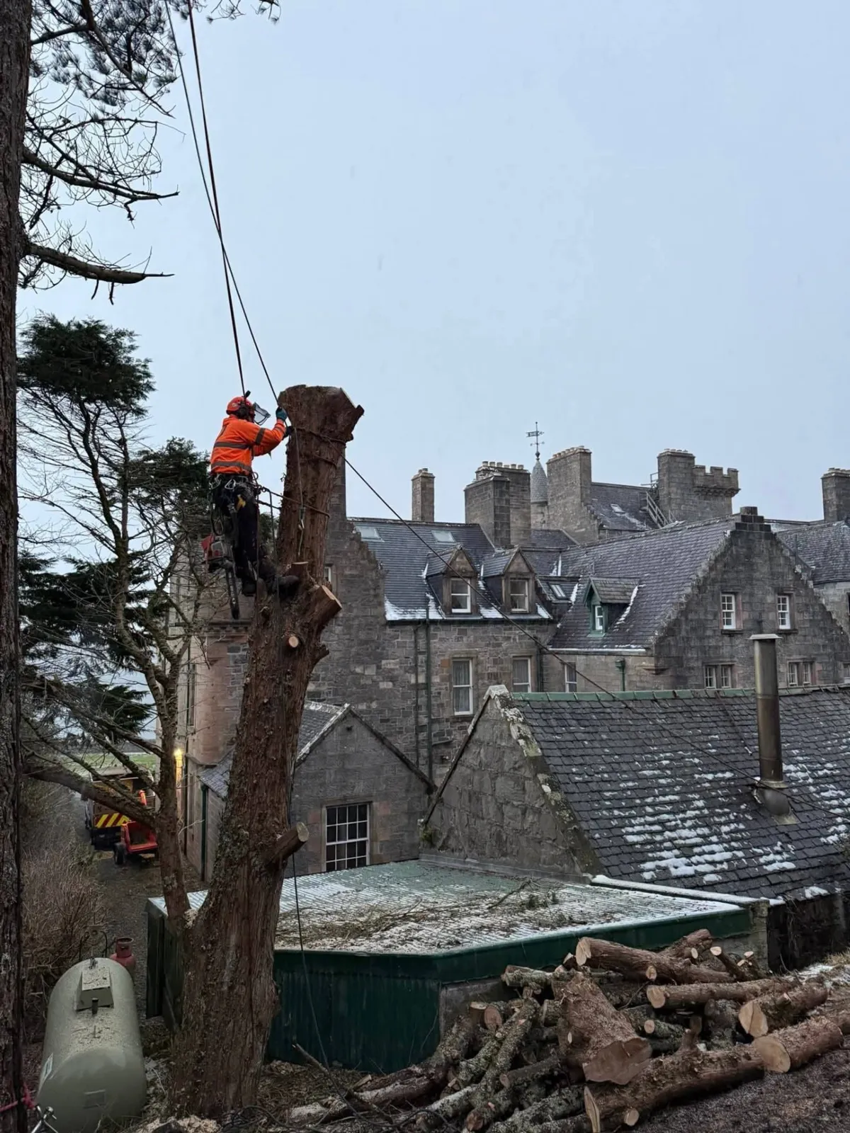 Arborist in full PPE with chainsaw at the top of a reduced trunk, rigging lines running past slate-roofed stone buildings