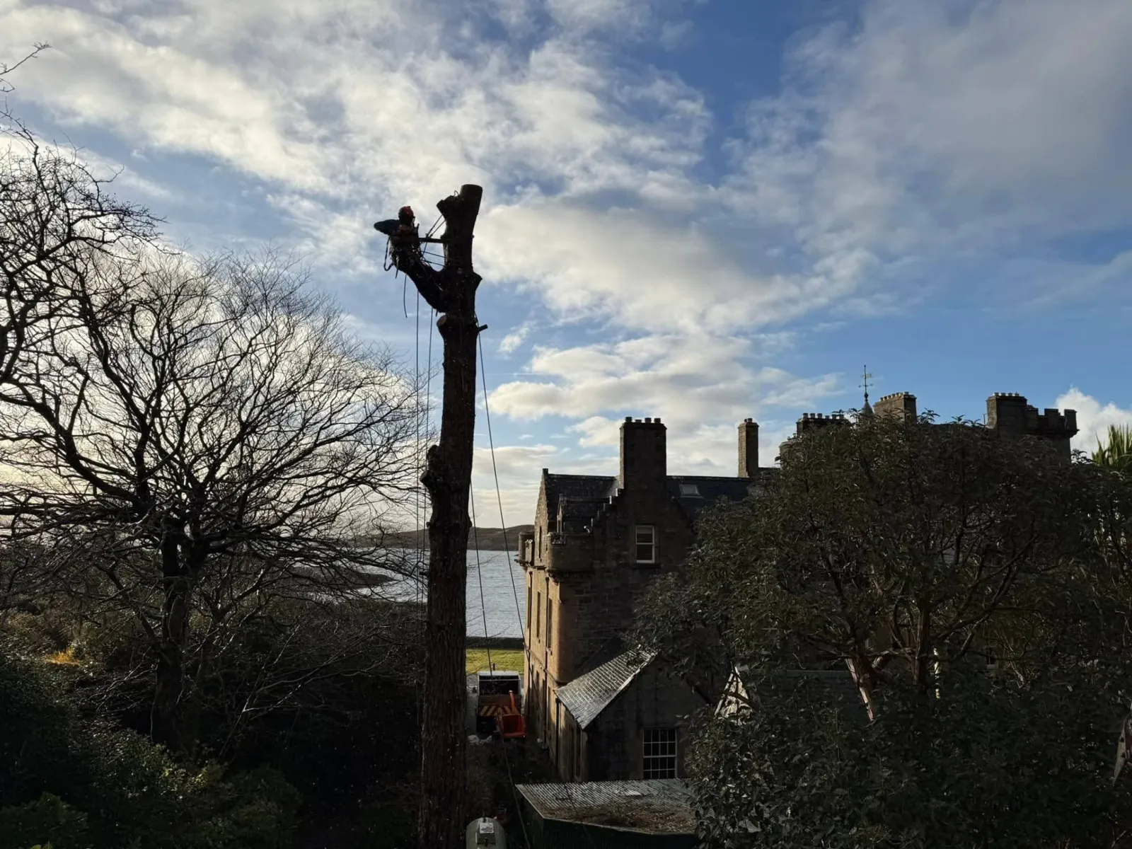 Silhouetted climber at the top of a bare trunk against a bright cloudy sky, with a turreted stone house nearby